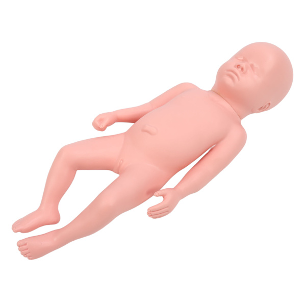 Nyfödd modell Plast Educational High Simulering Full Term Baby Simulator Modell för undervisning