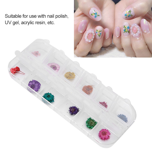 12 färger / låda torkade blommor nageldekoration DIY nagelkonst dekoration tillbehör D-stil