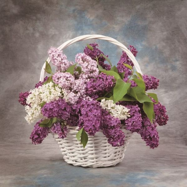 Semi-diamantblommor Fe DIY Strassmålning Vardagsrumsdekoration Konst Hantverk 8530