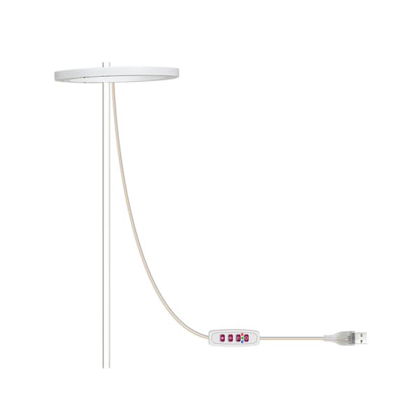 LED Växtlampa 5 Dimningslägen Timer USB LED Växtlampa för Suckulenter Krukväxter