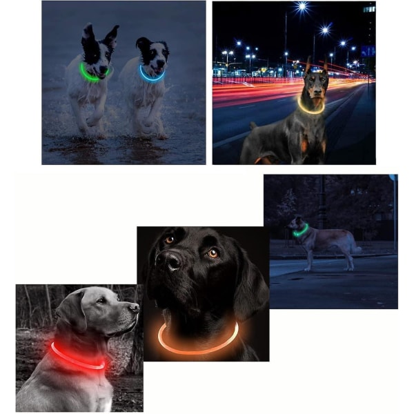 Uppladdningsbart LED-halsband – justerbart, vattentätt blinkande halsband för små, medelstora och stora hundar