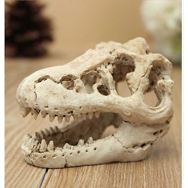 Akvariedekoration Harpiks Emuleret Kranie - dinosaur kranie skelet ornament - akvarium lille kranie aqua