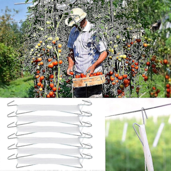 Tomatstöd Krok Tomatkrok Metall Tomatrep Tomatkrok Tomatställ Dragkrok För Växttillväxt 10m 6 Stycken