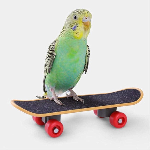 5 Pack Parrot Bird Trainer Legetøj - Parakeet Intelligence Træningslegetøjssæt med scooter kurv stabelring Mini indkøbsvogn