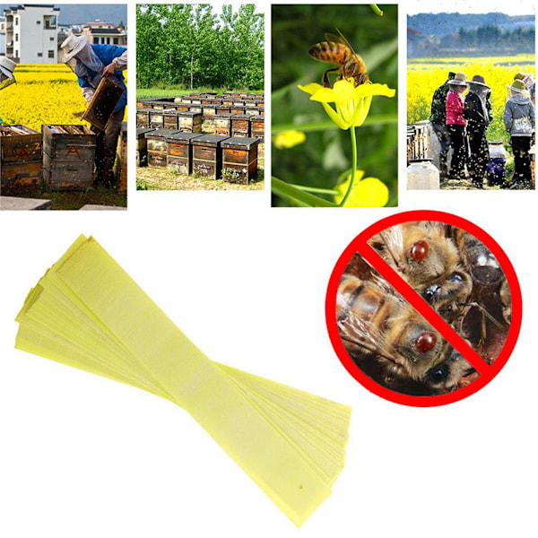 40 st Manhao Fluvalinat Strips Kvalster Varroa Biodling Medicin