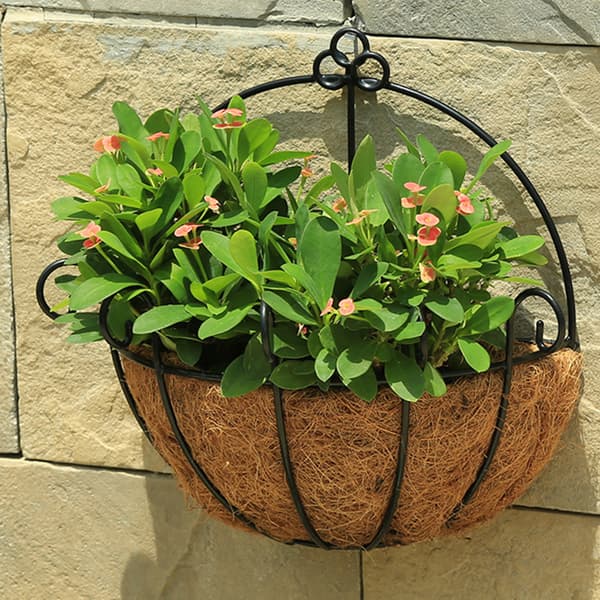 Ampellilja blomkruka balkong grönsaksodling kokospalmsmatta (45cm)