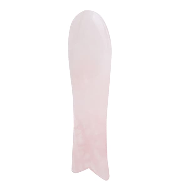 Fiskehaleform SPA Gua Sha Skrapebrett Bærbart Helkroppsmassasje Gua Sha Brett
