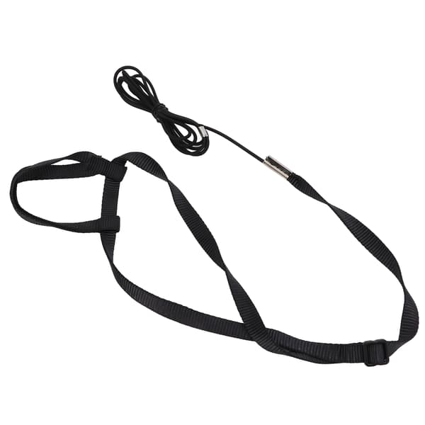 Fågelsele Ultralätt koppel Justerbart Papegojflygrep för utomhuslekfester Svart XS
