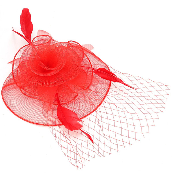Damer Gasehatt Bröllop Brud Fågelbur Fascinator Fjäder Hår Tillbehör (Röd)
