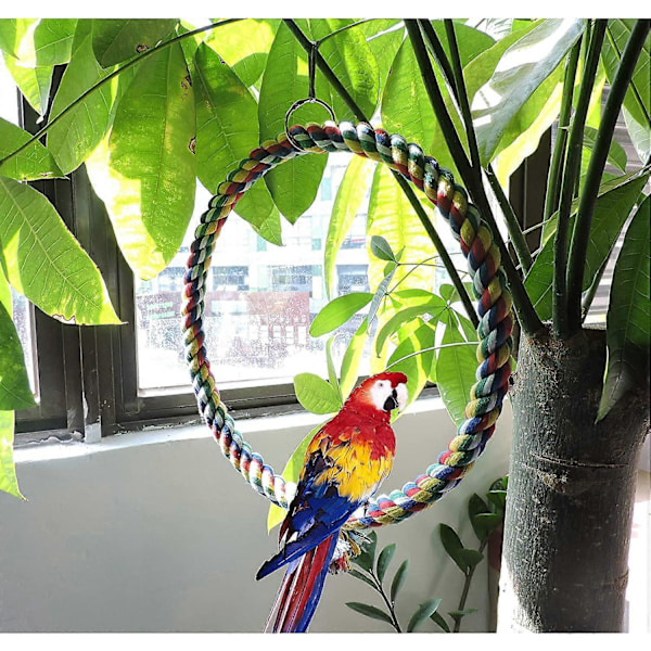 Fågelgunga, Hängande Leksaker för Burar Bomullsrepsgunga Bittålig Sittpinne Leksak Papegojleksak Motverkar Uttråkning för Undulater, Nymfparakiter, Conures, Finkar, Små