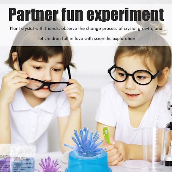 Kristallväxtsats som lyser i mörkret Kristalltillverkningssats Enkel DIY-experimentleksak Vetenskapligt experimentkit Pedagogisk present till barn