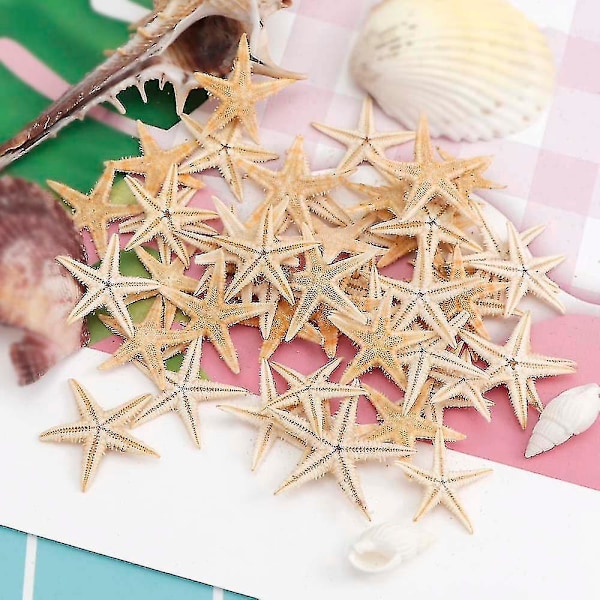 Naturlige Sjøstjerner Skall Strand Håndverk DIY Bryllup Dekorasjon