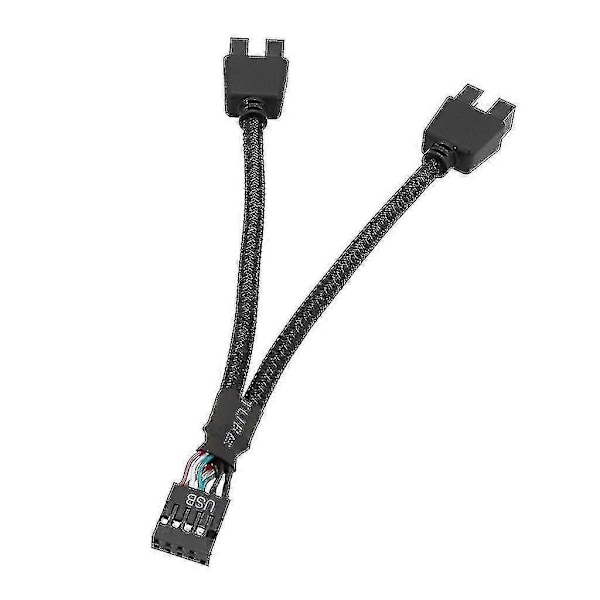 9-pin USB Header Hona 1 Till 2 Hane Förlängningskabel Kort Dator 9-pin USB Hub