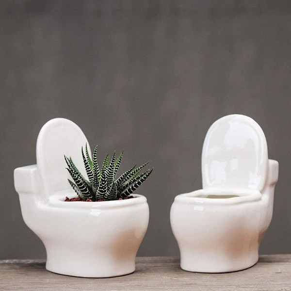 Modern Keramisk Blomkruka för Sukkulenter, Kaktusar och Bonsaiträd