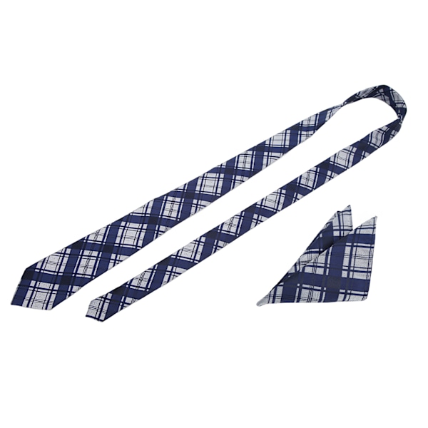 Herrrutig rutig slips set rutnät utmärkt material lätt att bära klassisk design med ficknäsduk herr slipsar för far