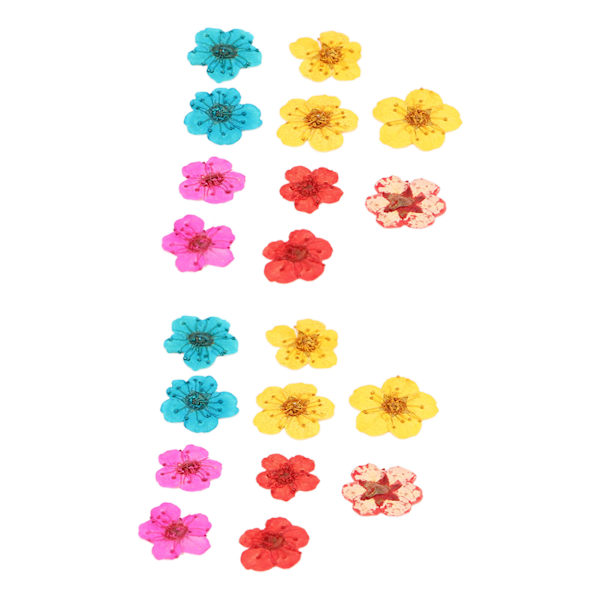 20 stk tørkede blomster blandet farge Romantisk full form organisk myk avslappende naturlige tørkede pressede blomster til dekorasjoner