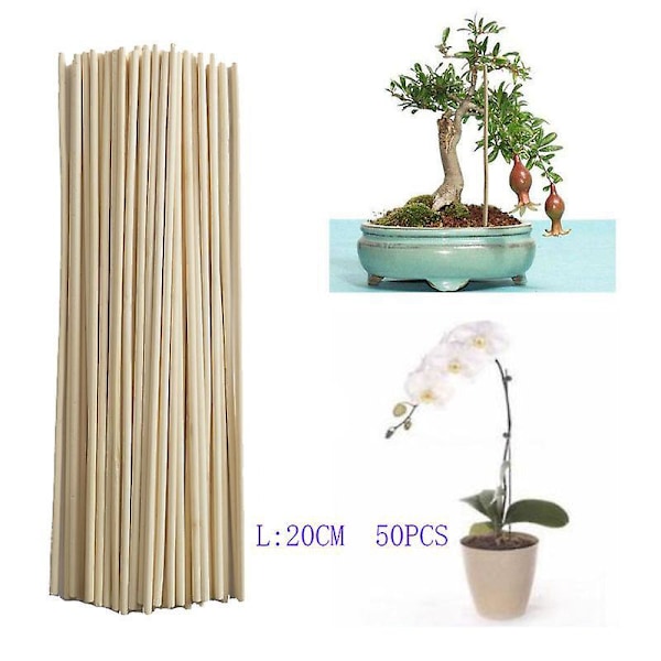 Bambu Tanko Kasvien Tukemiseen Pieni Bonsai Köynnöksen Oksa DIY Puutarhatyökalu 3mm*20cm 50kpl
