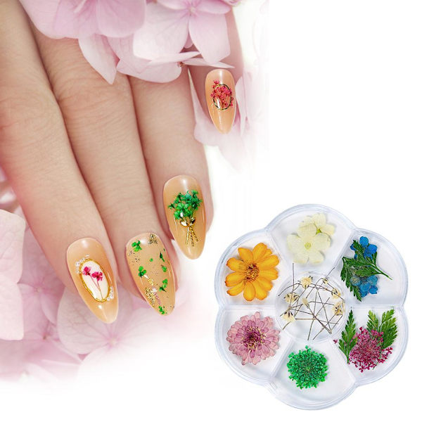 1 laatikko kuivattuja kukkia 6 ruudukkoa kynsien koristeluun DIY kynsien taide tekokukat naisille manikyyri DIY kynsien koristeet 03