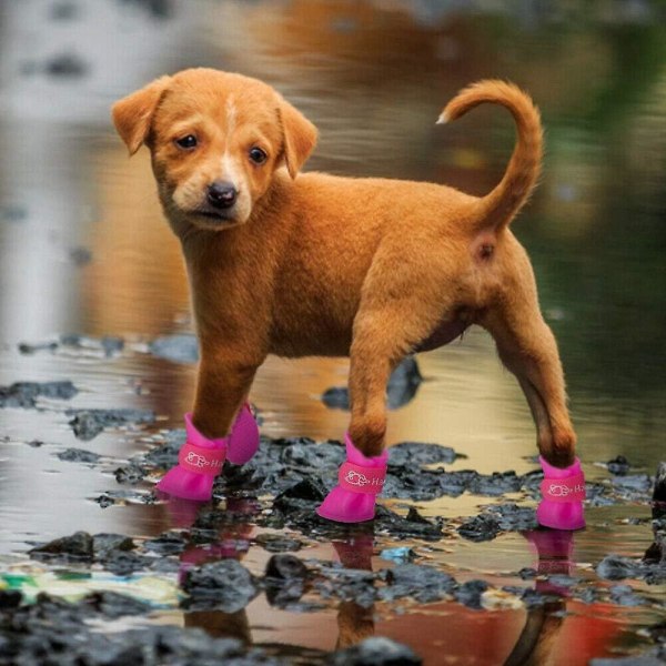 S, Roser hundstövlar i silikon - Set med 4 vattentäta halkfria regnskor för små husdjur