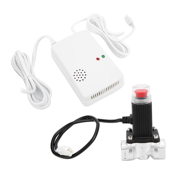 Drivstoff Kull Naturgass Alarm Uavhengig veggmontert husholdning med drivmagnetventil AC110220V(EU-plugg)