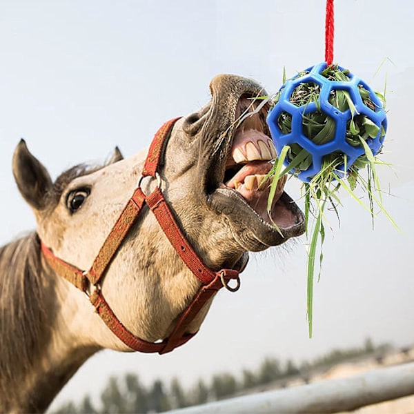 2-pakks Hayballer for Hest, Geit, Sau, Stressreduksjon (Blå)