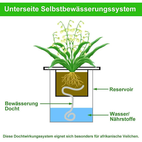 Automatisk plantevandingssystem med 20m absorberende kernetov