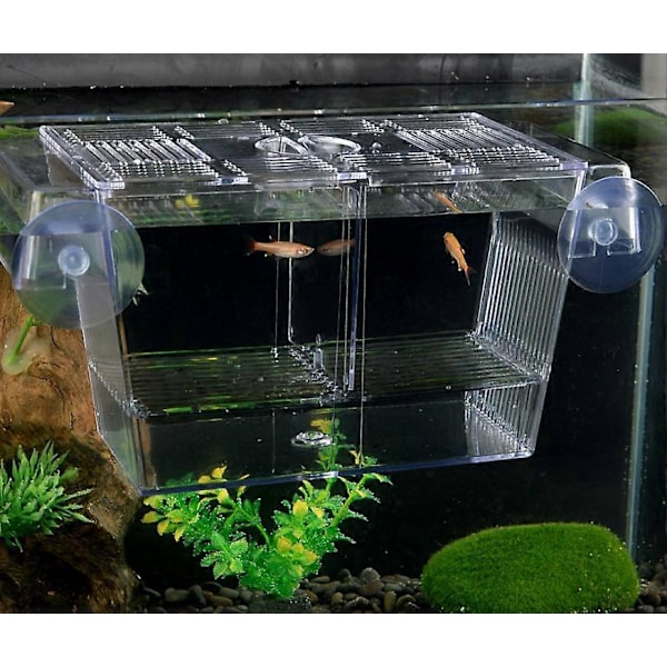 Lekrum, - 3 i 1 Akvarium Fiskodlingstank med Lock, Flytande, Transparent 12,5x7x7 cm