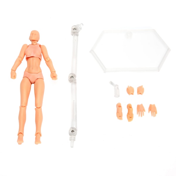 PVC Konstnärer Actionfigur Modell Människa Ritning Modell Kvinna Mannekäng DekorationPrimär Färg