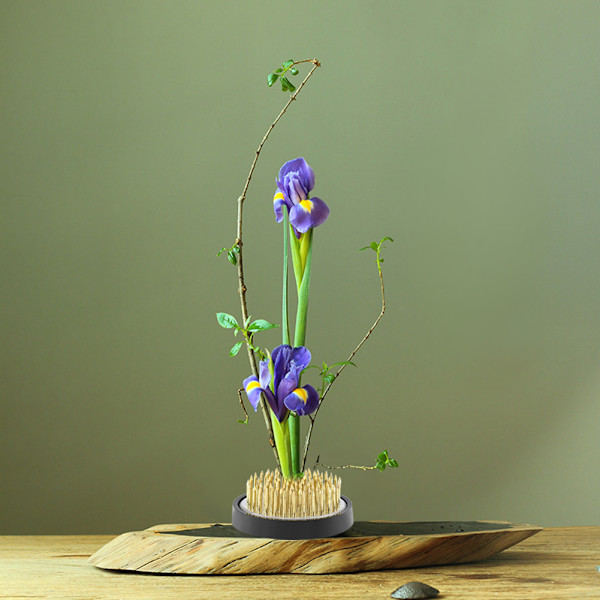 Pyöreä kukka-asetelma Pin Ikebana Kenzan Kukka-asetelma Kiinteä järjestelytyökalu (Dia. 40mm)