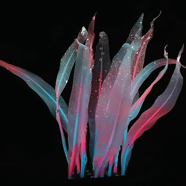 Myk Silikon Selvlysende Kunstig Havgress, Fluorescerende Akvarietare for Akvariedekorasjon, Rosa