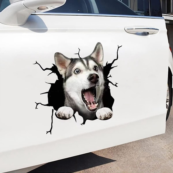 3D-hundklistermärken - Husky & Fransk Bulldogg - 4-pack - 30cm X 30cm