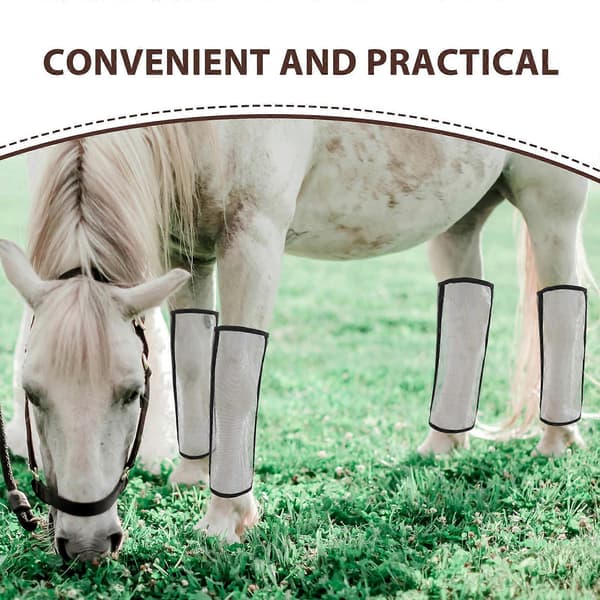 Horse Fly Boots Protective Fly Wraps 4pcs Mesh Design Comfortable