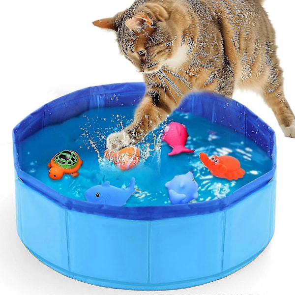 Katt Vattenleksak - Kattpool med Interaktiva Fiskleksaker, Fisk Skål Kattleksaker För Uttråkade Innekatter Interaktiva Kattleksaker För Innekatter DGZD