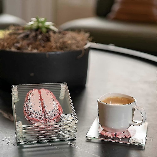 Anatomiske brikker med hjerne - gaver til medisinstudenter, hjerneinnredning, gaver med menneskelig anatomi