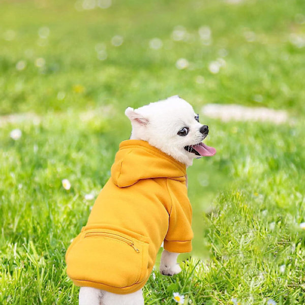 Solid gul hundehættetrøje med lomme til små til mellemstore hunde i størrelse M