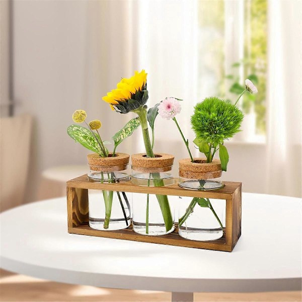 Formeringsstasjon, Planteterrarium i glass for planteklipping, Hjemmeinnredning