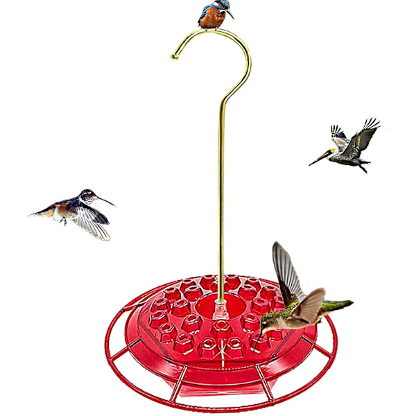 Kolibrin ruokintalaite, riippuva kolibrin juomakuppi ripustuskoukulla, irrotettava tiivis kolibrin lintujen ruokintalaite, sopii ulkopuistoihin ja pihoille