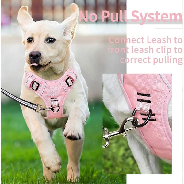 Hundesele, Hundesele for Små Mellomstore Store Hunder Ingen Trekking Justerbar Polstret Reflekterende Sele med Håndtak (Rosa, M)