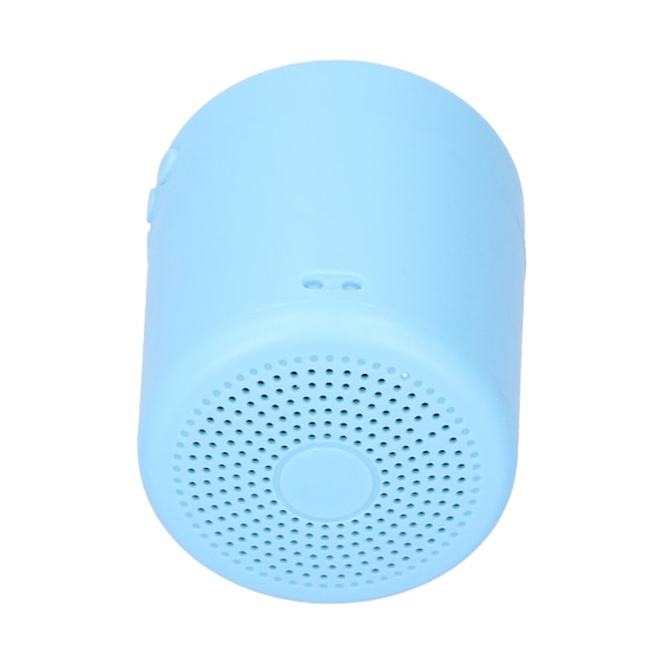 Langaton Bluetooth-kaiutin ulkotiloihin, kannettava minikokoinen Hifi-kaiutinlaatikko USB/muistikortti/FMBlue