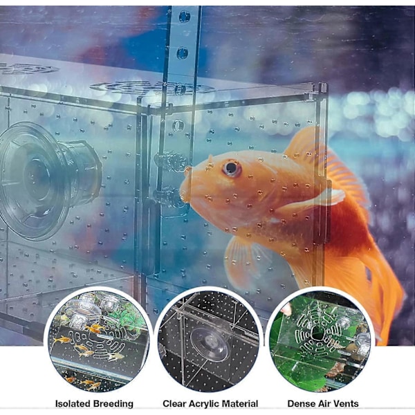 Akvarium Avlstank - 30x15x15CM, Akryl Akvarium Fiskeavlsboks, Akvarium Avlstank, Transparent Fiskeinkubator for Små Guppy Reker Fisk