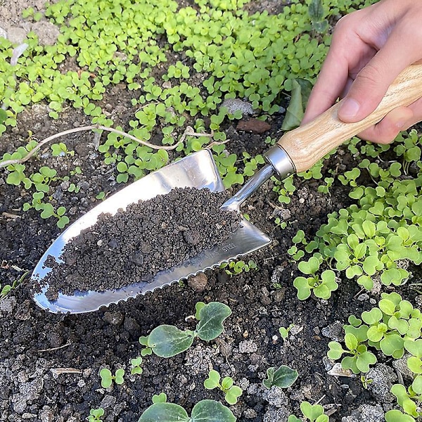 Monitoiminen pääharava bonsai-lapio lapiolapio muovikahvalla minipuutarhan puutarhatyökalut kotikasveille