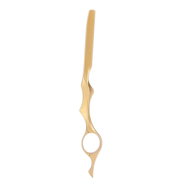 Hair Styling Razor Professionell hår Texturizing Thinning Cutting Razor för salong