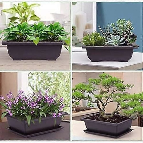 Bonsai-ruukkusetti, 6 kpl, alustalla, neliönmuotoinen muoviruukku, mehikasveille, kukkaruukku puutarhaan, olohuoneeseen ja toimistoon