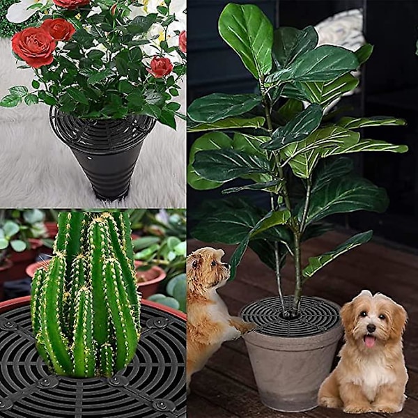Kattgrävande Plantkruka Galler, Blomskydd Växtbeskydd, Blomgolvskydd med 12 Bultar 52cm Säkerhet för att Skydda Barn Husdjur