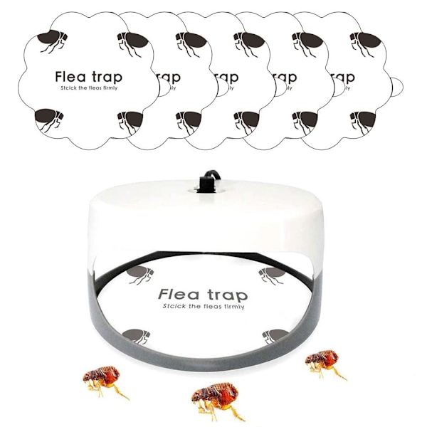 5PCS Loppestikkeklistremer Klebrige Fluefeller Gresskarformede Loppestikkfeller for Hjem Soverom