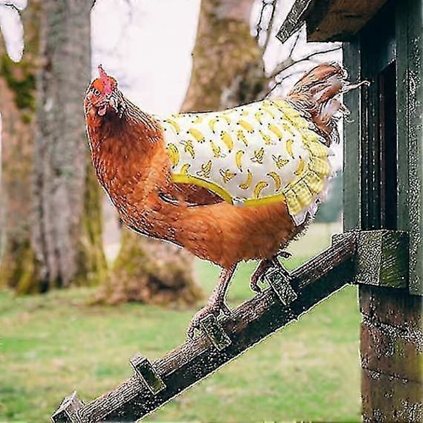 4 kpl Kana Satulat Kanat Esiliina Hedelmäkuvio Siiven Selkäsuoja Joustavalla Hihnalla banaani-ananas-Kiivi-sitruuna