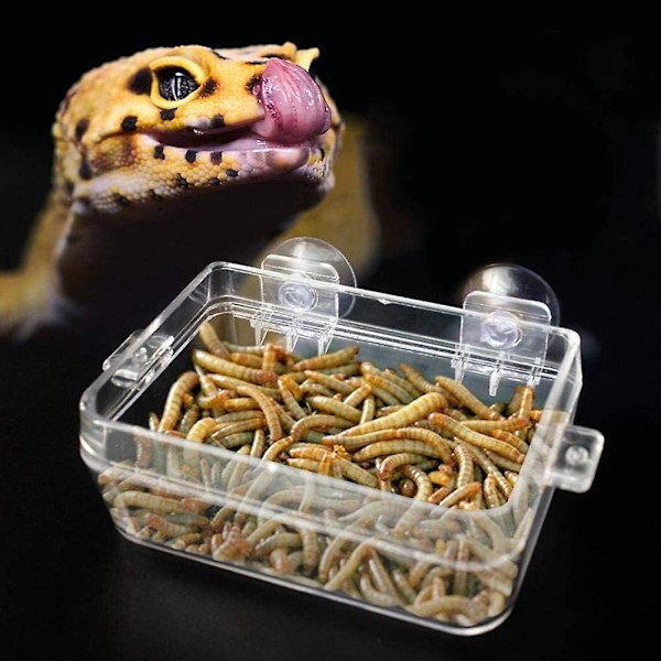 Transparent Sugkoppsmatskål för Reptiler och Amfibier Anti-Flykt Maskbassin för Gecko Orm Leguan Ödla