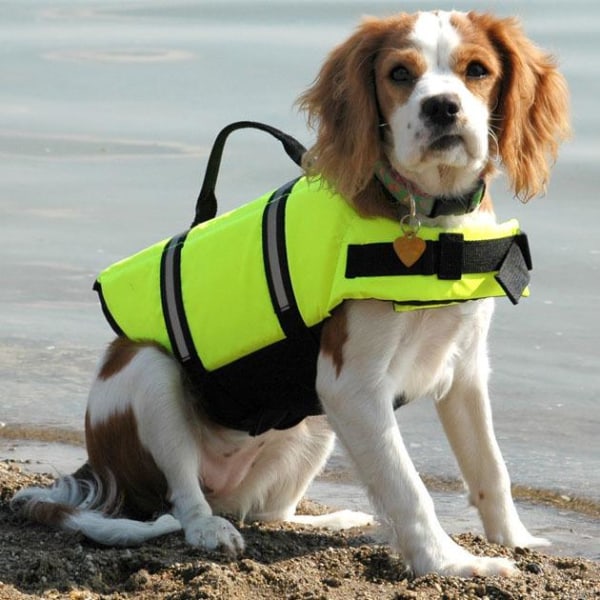 (vihreä M) Koiran pelastusliivi - heijastava koiran pelastusliivi maksimaaliseen turvallisuuteen vedessä ja sen lähellä uidessa