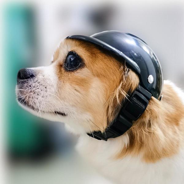M Cats kæledyrshjelm, ABS motorcykelhat til hunde, justerbar hundehjelm med ventilationsåbninger, hundesikkerhedshætte, til små hunde