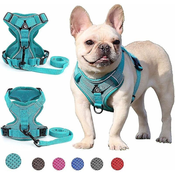1 stk. sele til små og mellemstore hunde (grøn M)